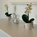 Apartament Zica Trogir