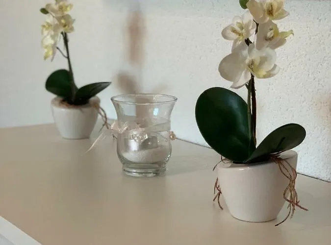 Apartman Zica Trogir