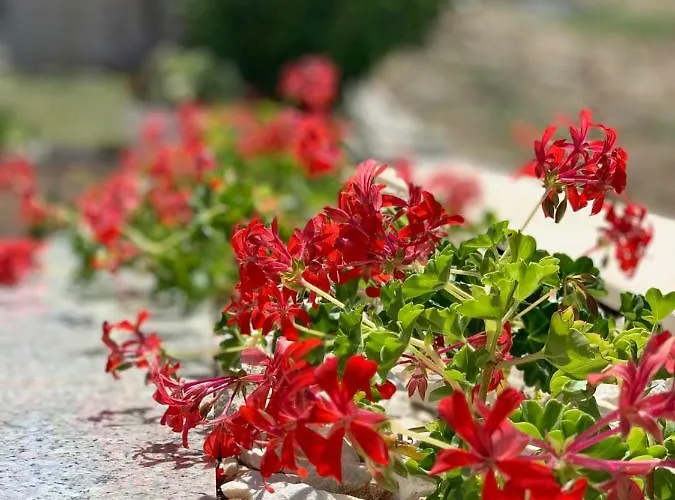 Zica Lejlighed Trogir