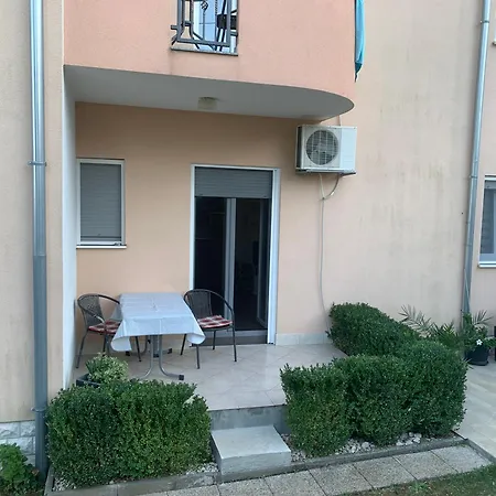 Zica Trogir